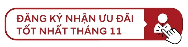 GOI-NGAY-NHAN-UU-DAI-gia-xe-hyundai-santafe